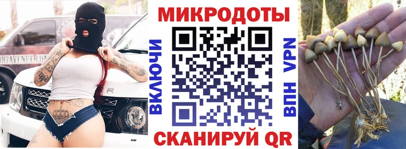 Галлюциногенные грибы Magic Shrooms  мега зеркало  Аша 